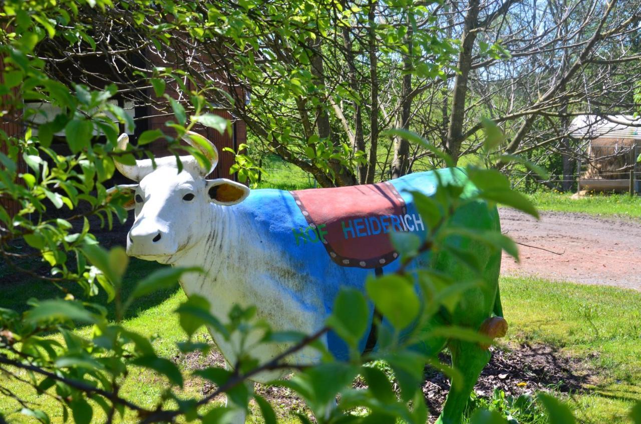 Farm stay Hof Heiderich *